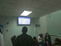 -上海交通大学医学院附属上海儿童医学中心(陆家嘴总院区)