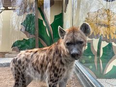 -北京野生动物园