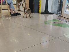 -艾贝尔宠物医院 ·中兽医·宠保定点(北门桥店)