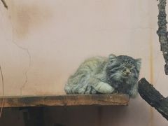-青藏高原野生动物园