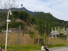 -梧桐山风景名胜区