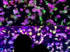 -珠海长隆海洋王国