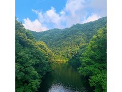 -洛阳白云山景区