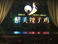 -天山醉美辣子鸡(文艺路店)