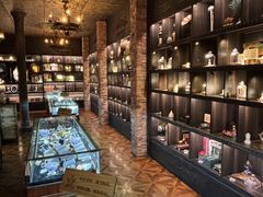 -雪灵魔法世界SHELLY’S TAROT(大良桂畔里店)