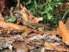 -金堂县云顶石城风景区