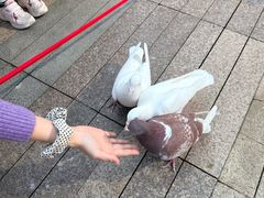 -中航城君尚购物中心