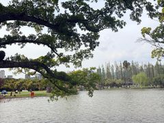 -江心屿景区