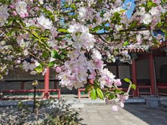 -大钟寺古钟博物馆