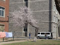 -辽宁大学(崇山校区)