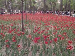 -迎泽公园