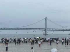 -星海湾跨海大桥