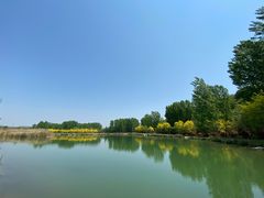 -淇河国家湿地公园