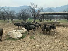 -西安秦岭野生动物园