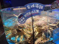 -徐记海鲜(大雁塔|金都店)
