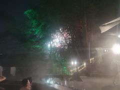 -花水湾第一村温泉大酒店