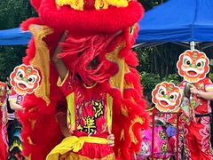 -九龙公园