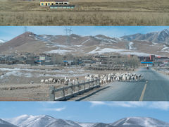-青海湖国家重点风景名胜区