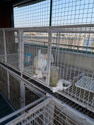 -小蜜蜂农场(凯德七宝购物广场店)