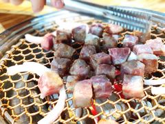 -熊小胖烤肉店(桥北店)