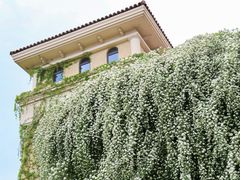 -府河摄影公园
