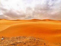 -沙漠世界地质公园