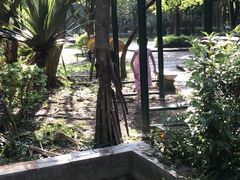 -滴水岩森林公园