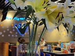 -blue frog蓝蛙(长泰广场店)