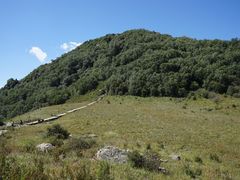 -白草畔自然风景区