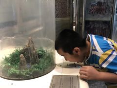 -福州科技馆