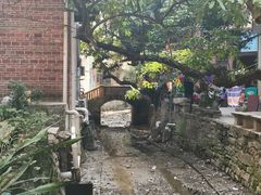 -小洲村