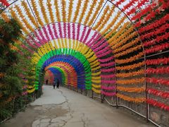 -洛阳马蹄泉旅游度假村