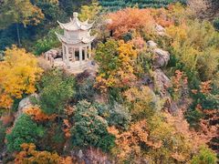 -树山生态村