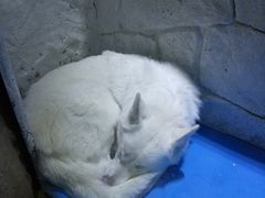 -大连圣亚海洋世界