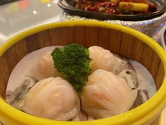-香港新曜记茶餐厅(星耀城店)