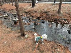 -白水寺森林公园
