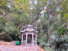 -宝通禅寺