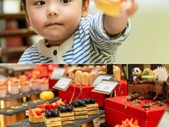 -成都保利公园皇冠假日酒店(熊猫基地店)