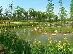 -白塘生态植物园