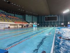-重庆市奥林匹克体育中心-游泳跳水馆