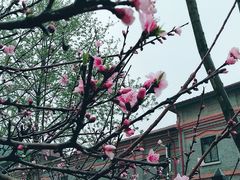 -辛亥革命博物院北区