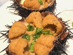 海胆蒸蛋-日丰园海肠水饺·老字号大连海鲜(银泰城店)