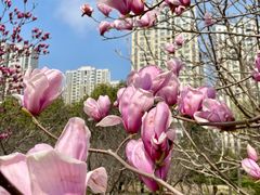 -白塘生态植物园