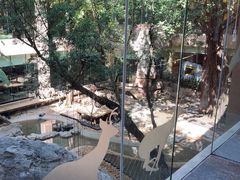 -麒麟中餐厅·经典粤菜·地道菜式老字号(广州长隆酒店)