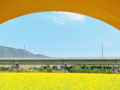 -光明农场大观园