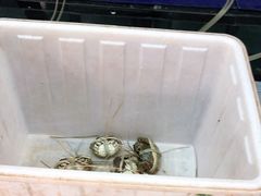 -蟹状元大闸蟹·年货·粽子(成都成华店)