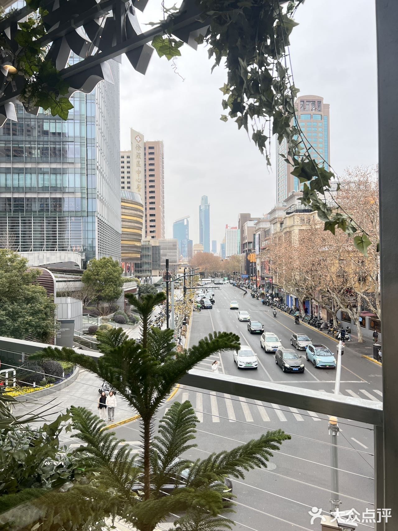 在上海！jujuju漂亮的花园窗景餐厅！