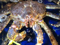 帝王蟹-79号渔船海鲜饭店(华强北店)