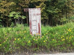 -长田漾湿地公园