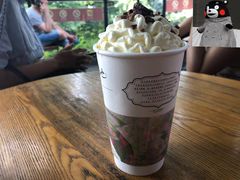 幽兰拿铁-茶颜悦色(岳麓山顶店)